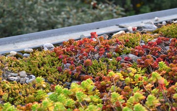 the cost of Winnington green roof installation