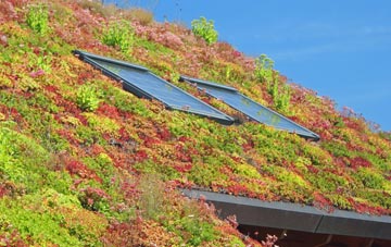 Winnington living roof systems